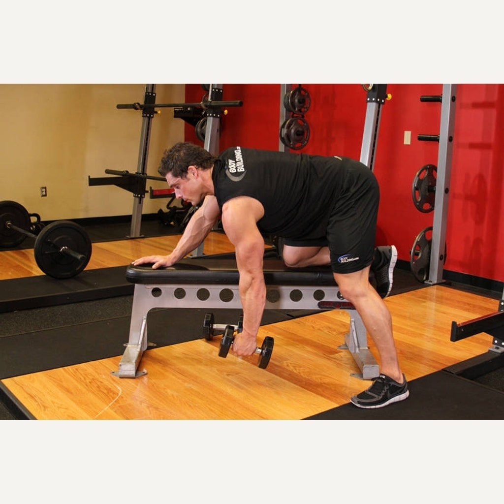 Dumbbell Row movement guide preview