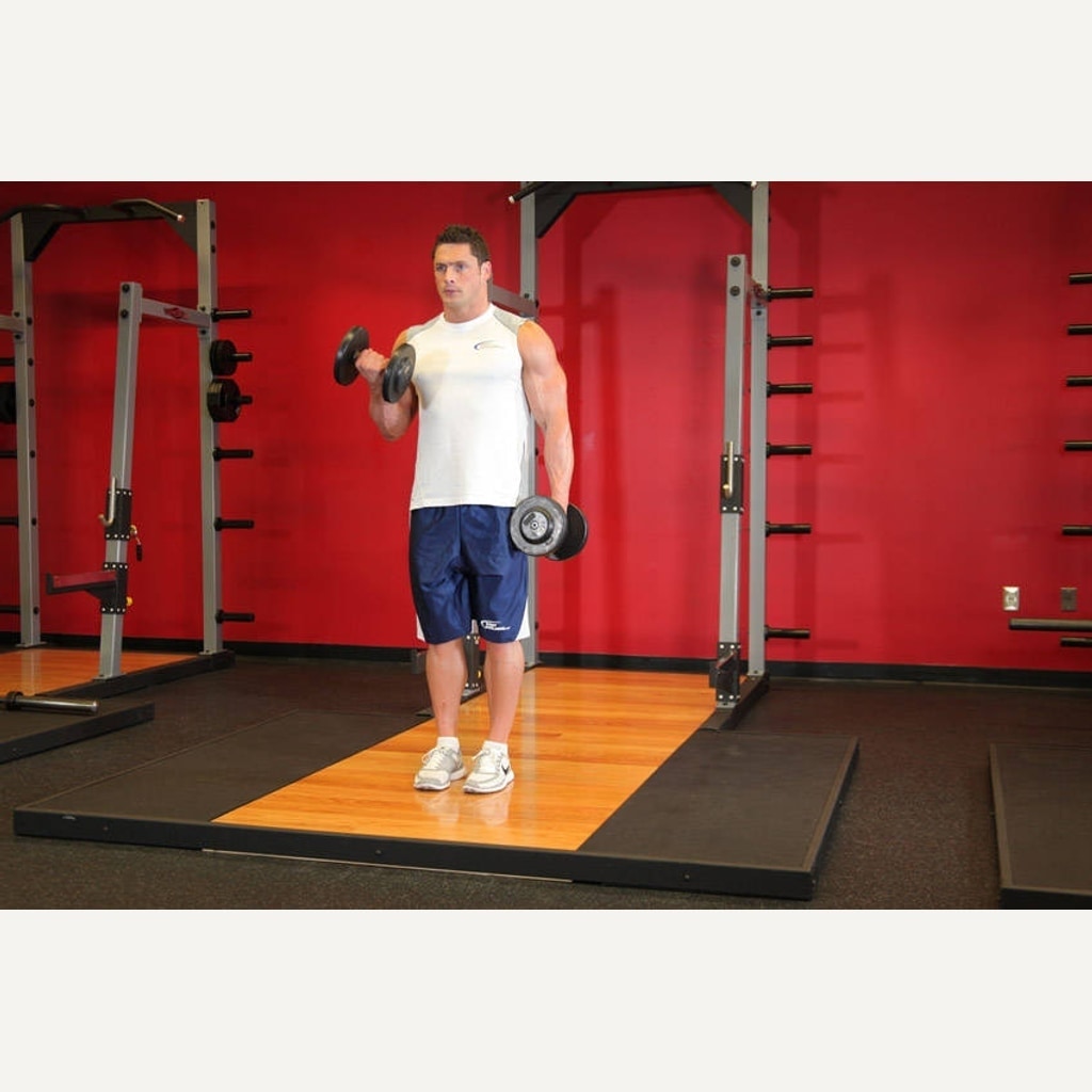 Dumbbell Curl movement guide preview