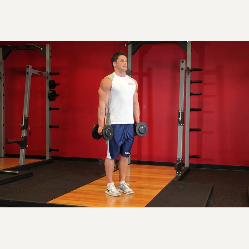 Hammer Curl movement guide preview