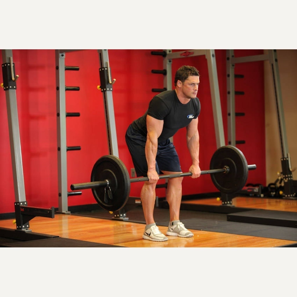 Barbell Row movement guide preview